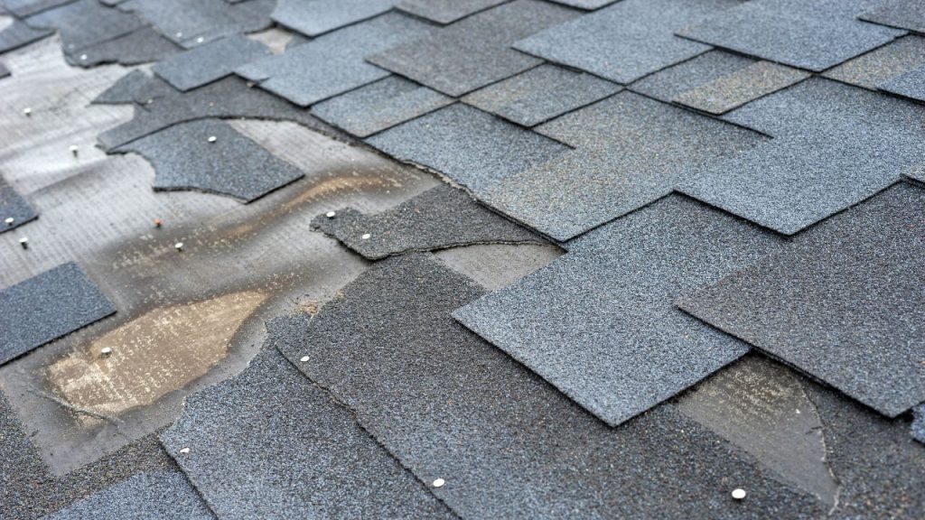 shingles Leaks and Water Damage