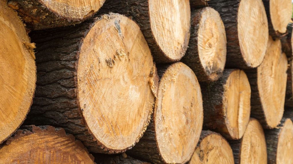 Characteristics of Wood