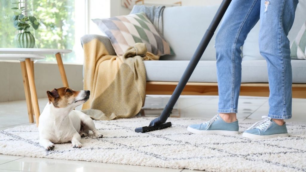 pet friendly home Declutter And Decorate