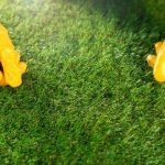 Common Problems with Artificial Grass