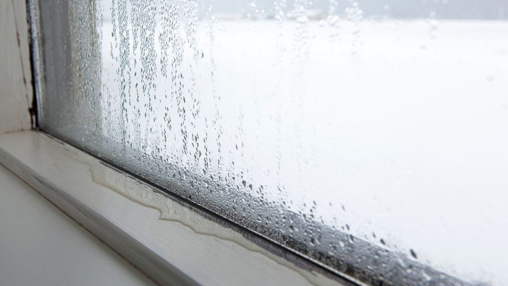 Common Signs of High Humidity in a Home