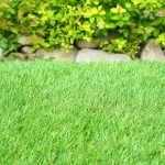 How to Make Artificial Grass Look Real
