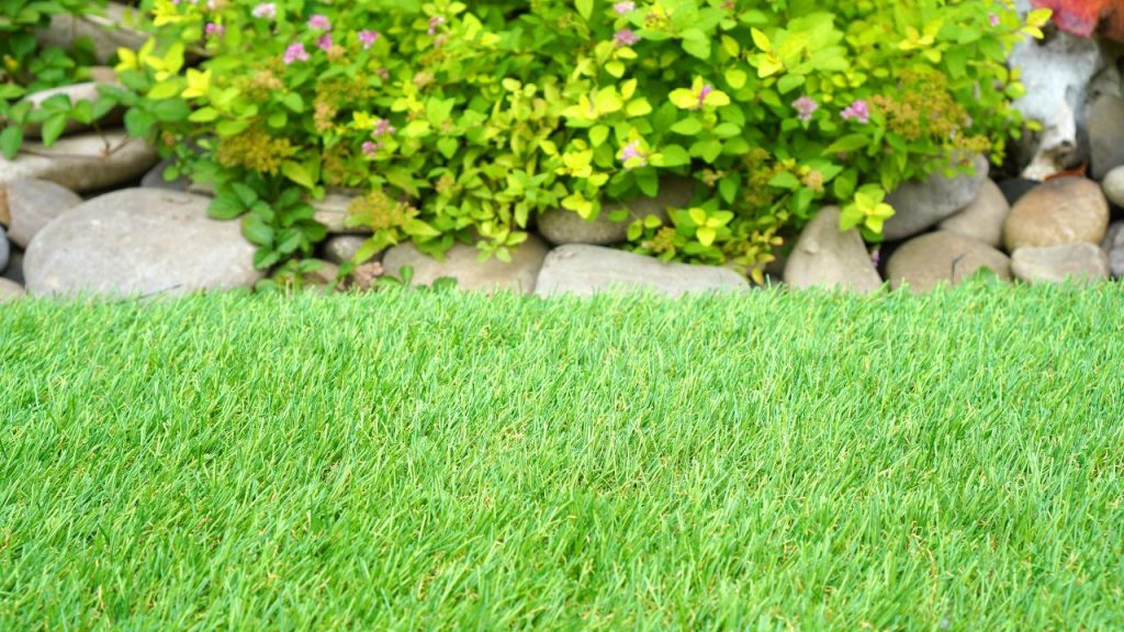 Pros of Artificial Grass for Homes