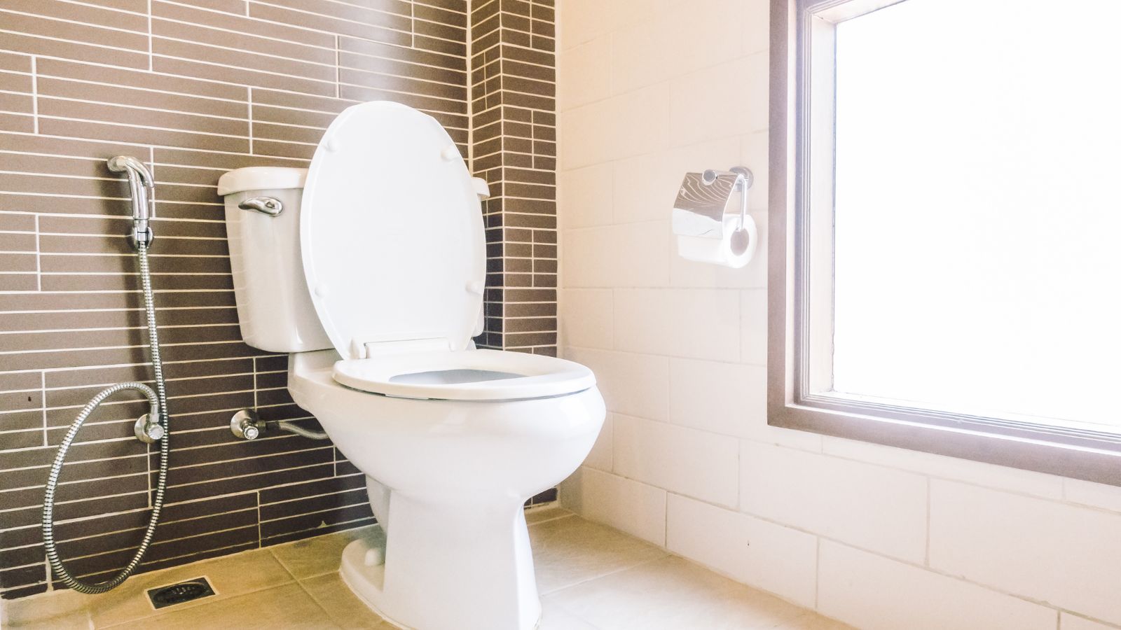 How to Get Rid of Poop Stuck in Toilet