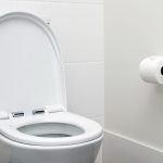 How to Keep Toilet Trap from Drying Out