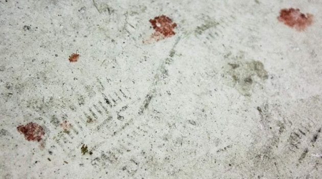How to Remove Blood Stains from Concrete Floor