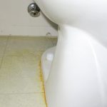 How to Remove Urine Stain Around Base of Toilet