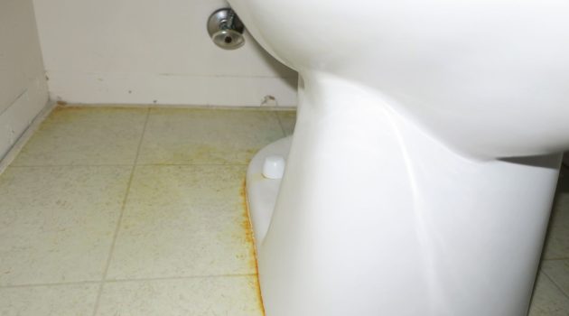 How to Remove Urine Stain Around Base of Toilet